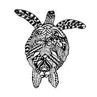 Zentangle stylized turtle Sketch for tattoo or t-shirt N2