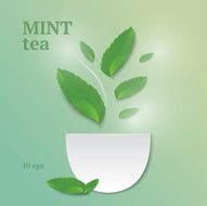 mint tea