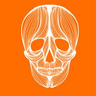 Skull 1 N2
