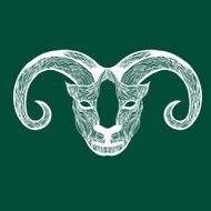 Ram N2