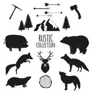 Hand Drawn wilderness animals and objects set
