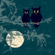 owls in the moonlight night