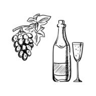 Wine bottle glass and grapes sketch