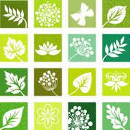 Summer natural icons