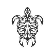 Turtle N20