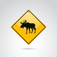 Moose crossing N3