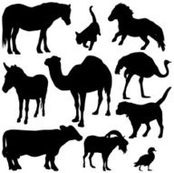 FARM ANIMAL N4