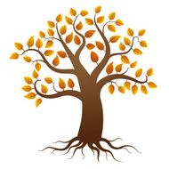 Autumn tree with roots