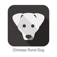 Chinese rural dog face flat icon series N2