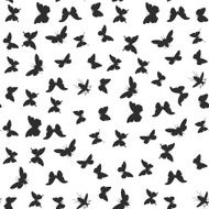 set butterflies cicada isolated black silhouette Seamless pattern white background