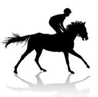 Jockey on a horse N3