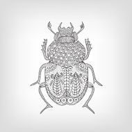 The scarab beetle on a light background N2