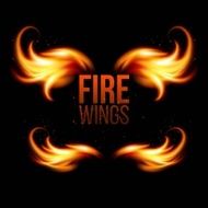 Wings in Flame and Fire Illustration on black
