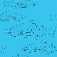 Sharks in the water Black outline on blue background Sketch