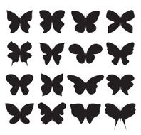 butterfly collection N2