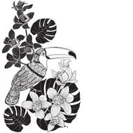 Toucan with tropical floral Monochrome l background N2