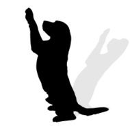 Vector silhouette of a dog N176