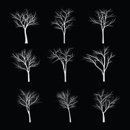 Trees with dead branch N117