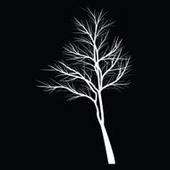 Trees with dead branch N119