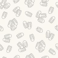 Seamless pattern with pecan nuts