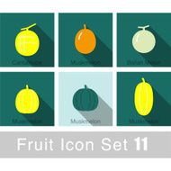 Fruit flat icon design N8