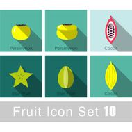 Fruit flat icon design N9