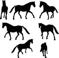 horse silhouette in parade walk pose N7