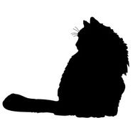 Cat Silhouette N81
