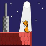 Kitten on the roof in moonlight N2