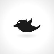 icon of bird