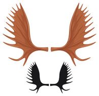 horns of moose