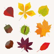 Collection beautiful colourful autumn leaves