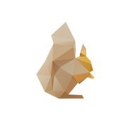 Squirrel isolated on a white backgrounds