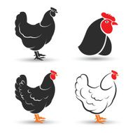 Chicken N28