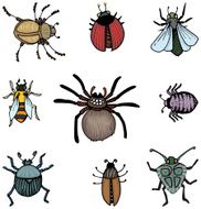 Set of bugs N2