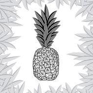pineapple isolated on white background Vector illustration