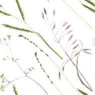 seamless pattern with flowers and grass N5