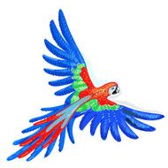 Macaw parrot N3