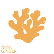Ginger N2