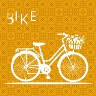 Bicycle N44