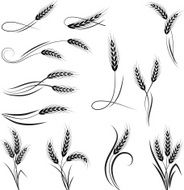 Wheat ornament N3