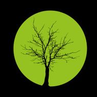 Tree N90