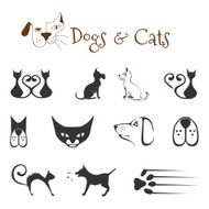Dogs and cats N3