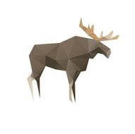 Elk isolated on a white backgrounds