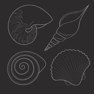Set of black&amp;white graphic sea shells