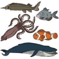 vector silhouette of different fish N2