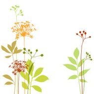 Graphic Stems