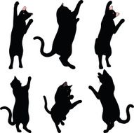 cat silhouette in Reach pose N4
