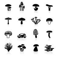 Black Symbols - Edible Mushrooms