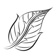 Leaves N99